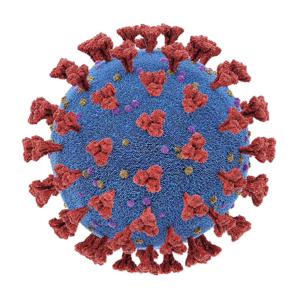 Dallas Native Reflects on Being Stranded in Pakistan After Coronavirus Closures