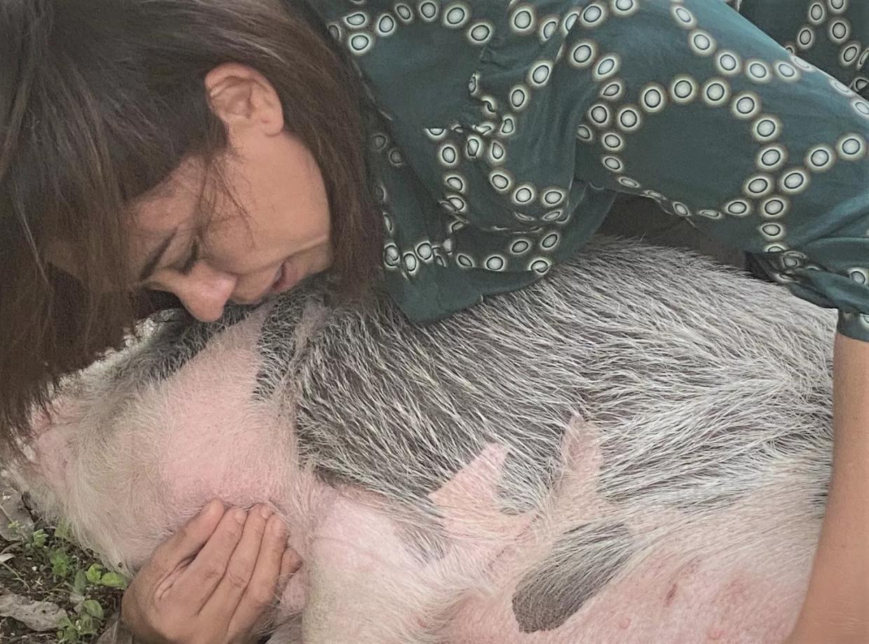 A Happy Grandmother, a Poisoned Pig and What Weird Times Are These