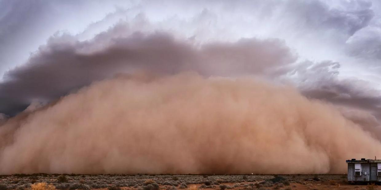 Your Saharan Dust Plume Weekend Guide: Movies, Cocktails and Food