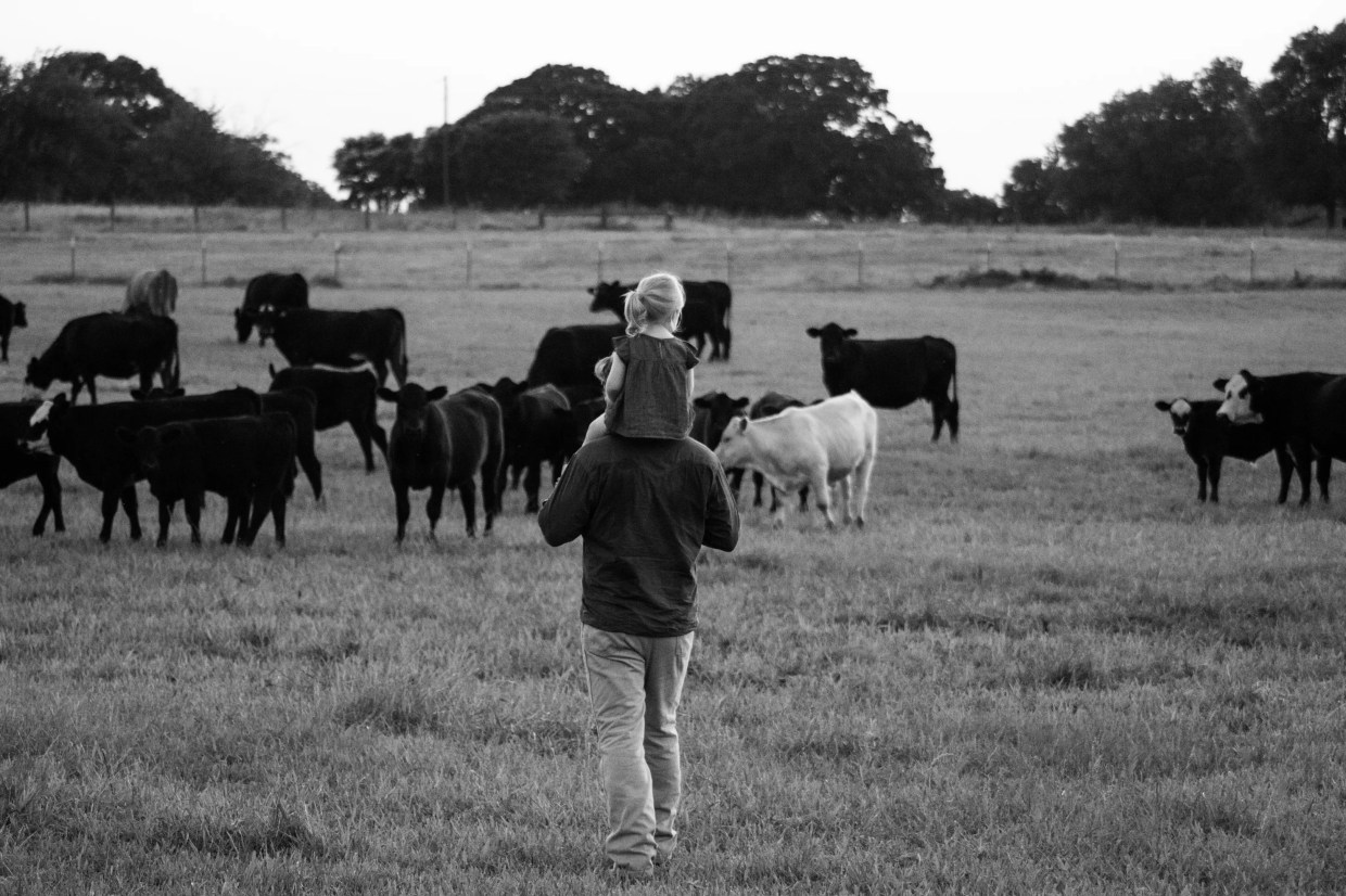 Happy Hollow Ranch Is Raising Cattle From the Dirt Up