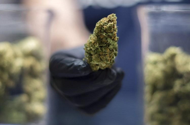 Ken Paxton hopes to get cities to stop decriminalizing marijuana.