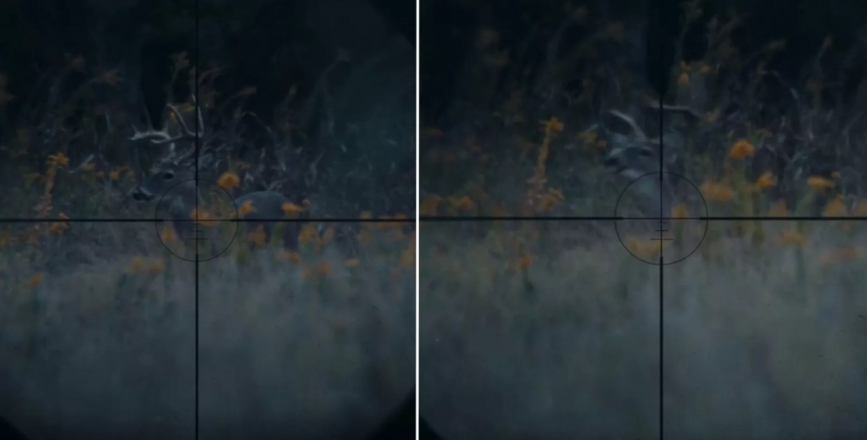 Did Bonfire Legend Go Too Far by Shooting a Live Deer for <i>Run Hide Fight</i>?