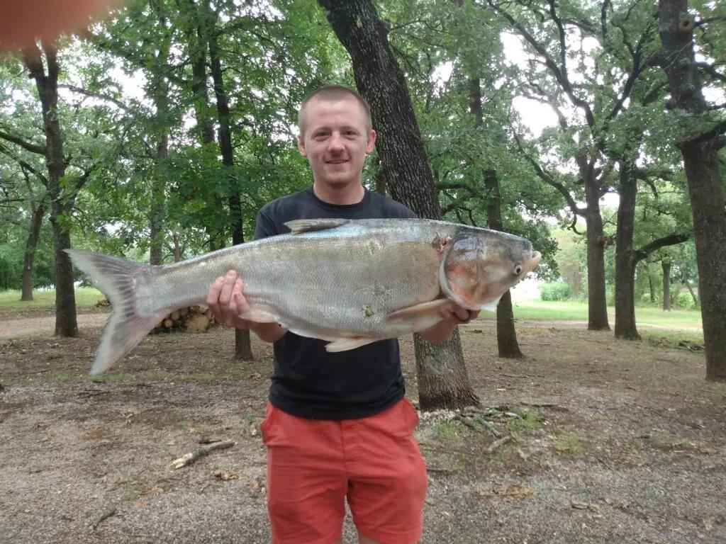 Something to Carp About: Plano Fisherman Finds Invasive Fish in Texas Waters