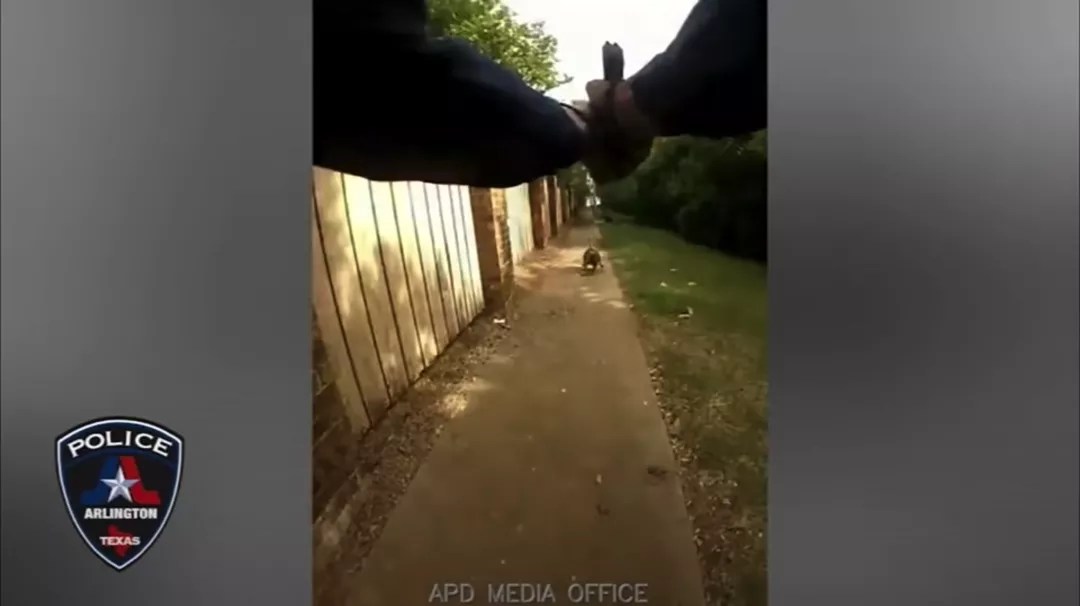 Arlington Police Went to Conduct a Welfare Check. It Ended Fatally.