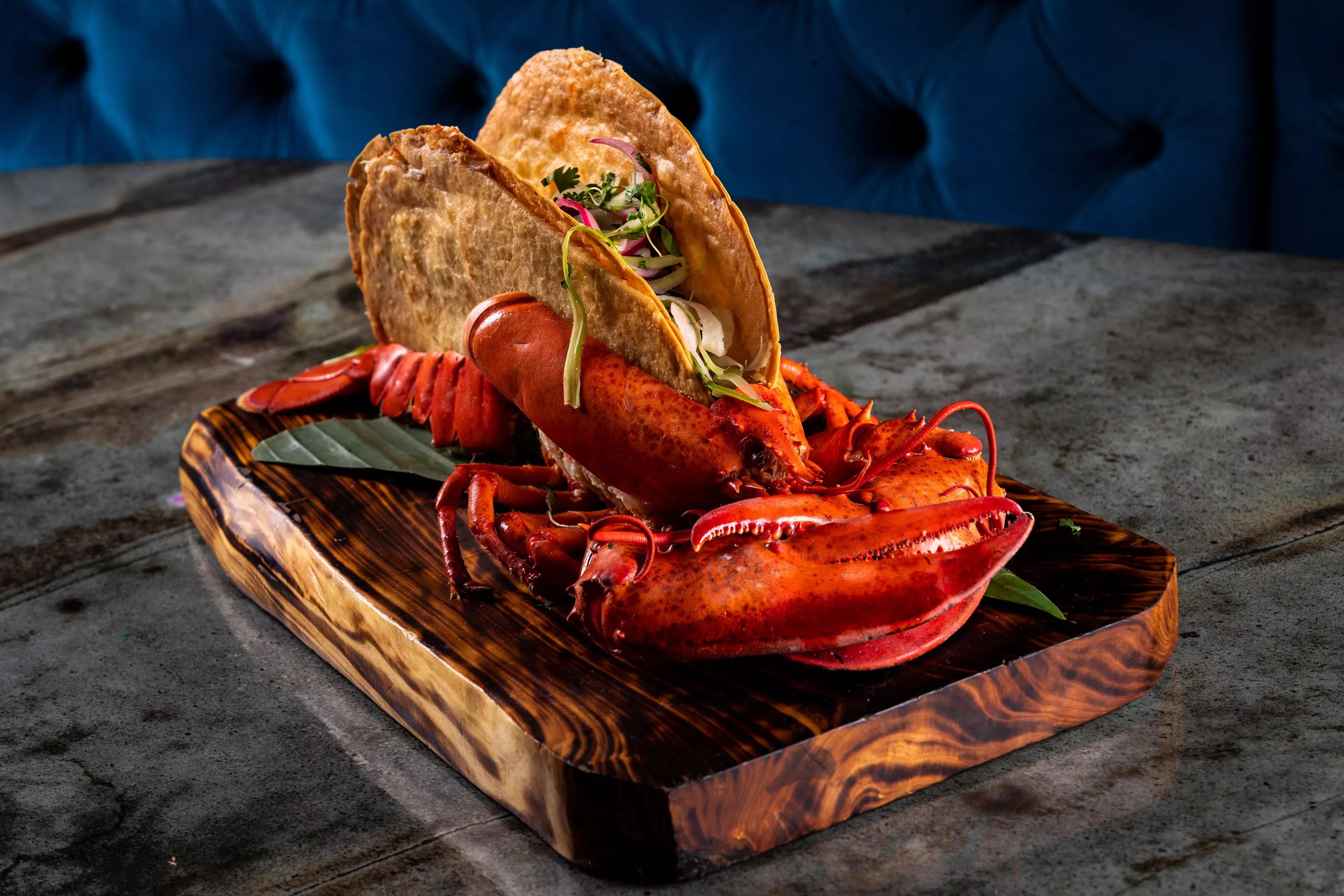 lobster taco at La Neta