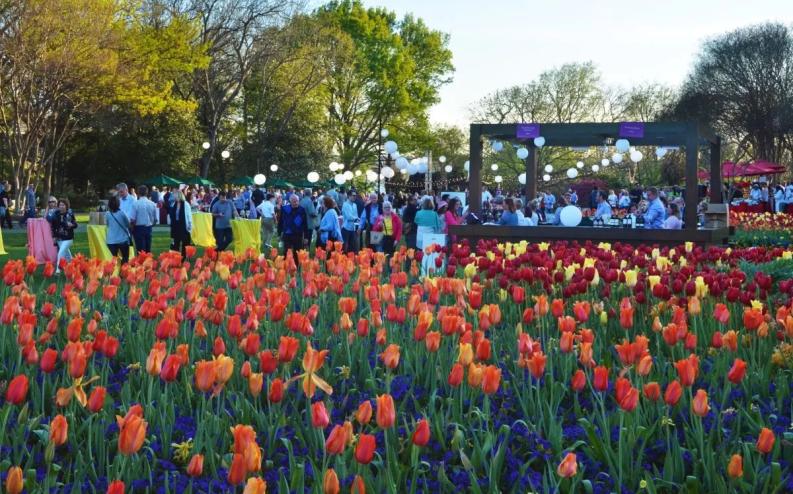 Dallas Arboretum and Botanical Gardens