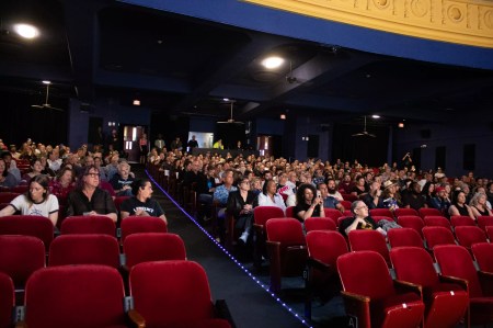 Screening The Summer: Film's Biggest Winners and Losers of the Season