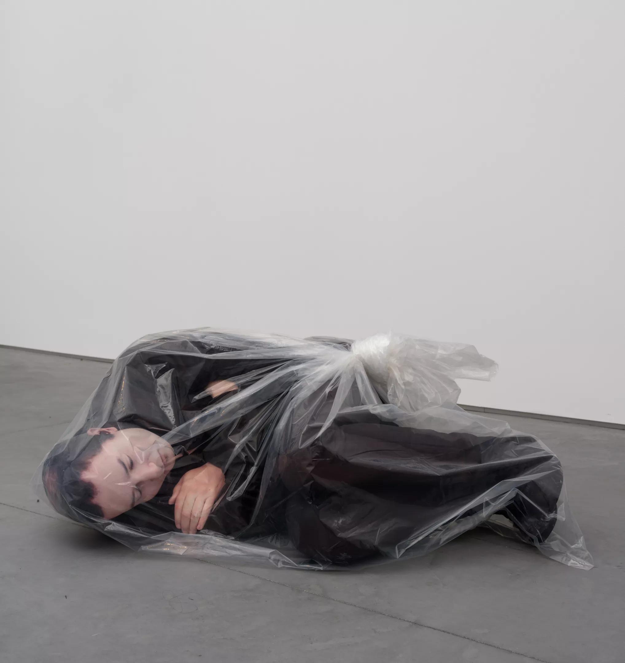 A 3D-printed sculpture in acrylic by Josh Kline