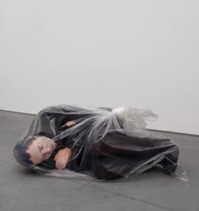 A 3D-printed sculpture in acrylic by Josh Kline