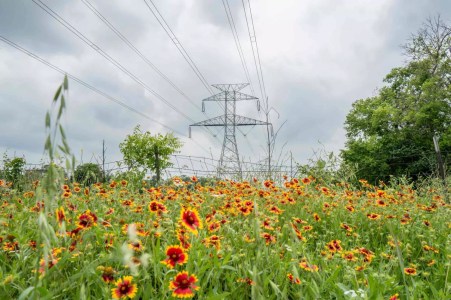 Red Oak Residents Oppose New Data Center
