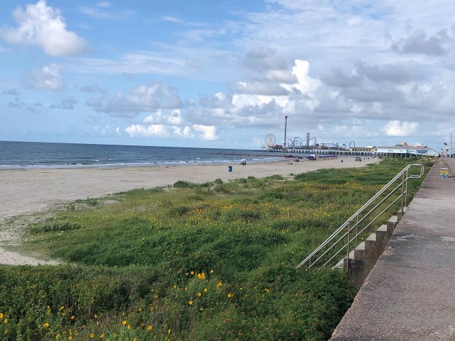 the beach in gavleston