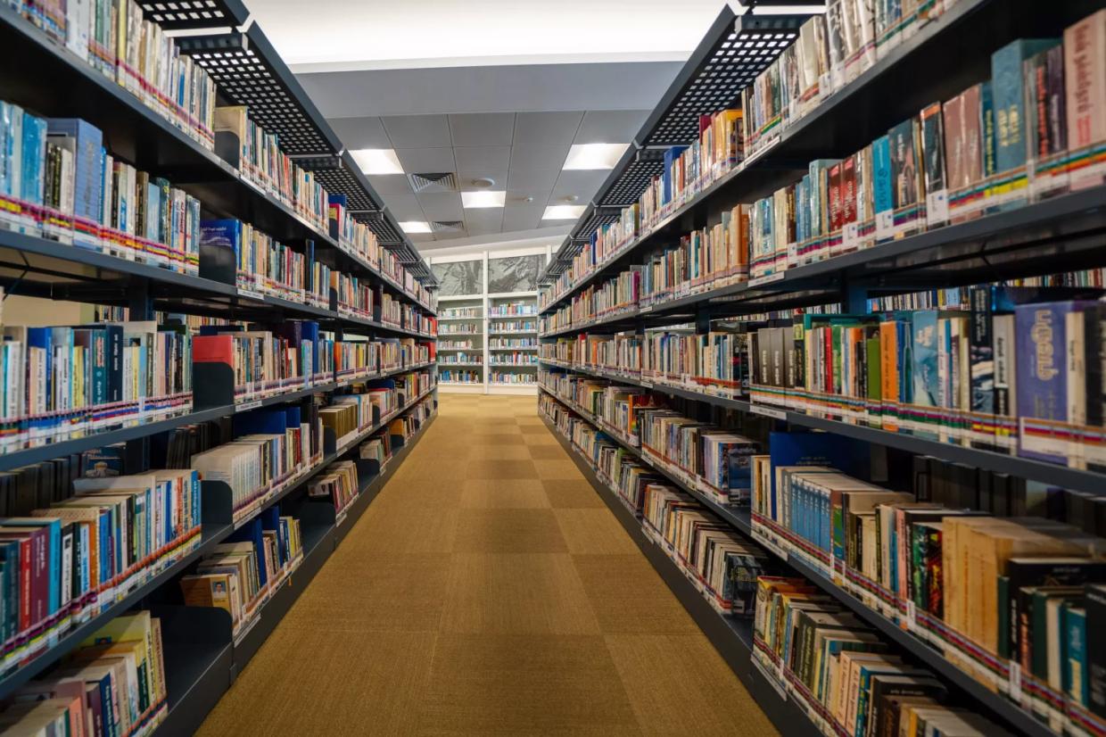 library books on shelves