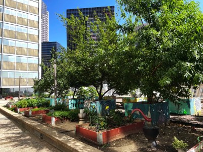 How to Make Going Green in Dallas Easy in 2026