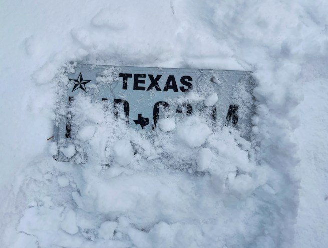 snow on texas license plate