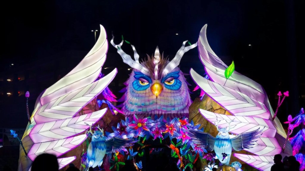 Tianyu Lights Festival Dallas 2025